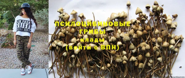 дмт Беломорск