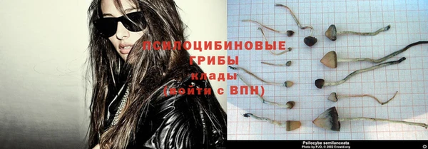 стафф Белоозёрский
