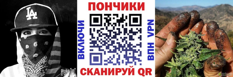 Бошки Шишки гибрид  Верея 